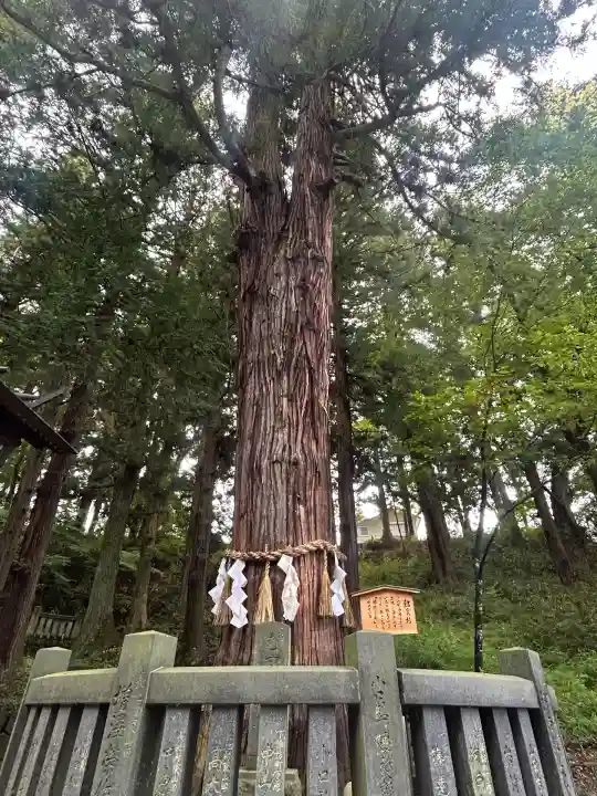 諏訪大社下社春宮(長野県)