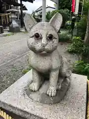 阿豆佐味天神社 立川水天宮の狛犬