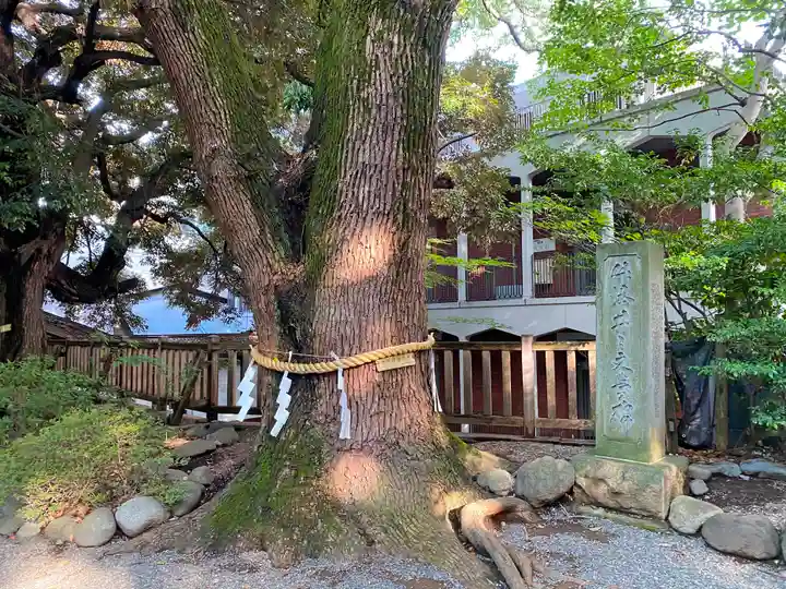 乃木神社の自然