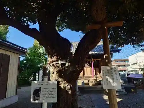 雷神社(東京都)