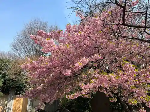 新井薬師（梅照院）(東京都)