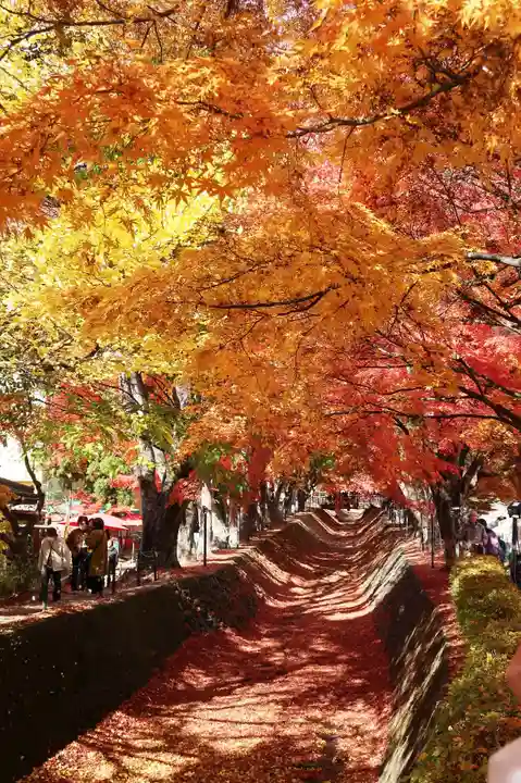 甲斐國一宮 浅間神社(山梨県)