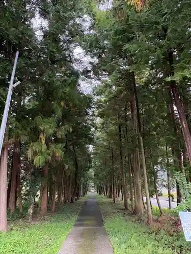 小村神社(高知県)