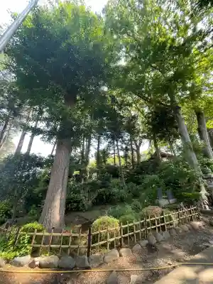 弥生神社の{uncategorized: "未分類", other: "その他", undefined: "問題あり", building: "その他建物", grave: "お墓", sacred_gate: "鳥居", guardian: "狛犬", statue: "像", buddha: "仏像", history: "歴史", nature: "自然", garden: "庭園", animal: "動物", pagoda: "塔", temizu: "手水舎", mountain_gate: "山門・神門", sanctuary: "本殿・本堂", subordinate: "末社・摂社", art: "芸術", scenery: "景色", jizo: "地蔵", ema: "絵馬", goshuin: "御朱印", omikuji: "おみくじ", items: "授与品その他", amulet: "お守り", goshuincho: "御朱印帳", eats: "食事", festival: "お祭り", votive_dance: "神楽", shichigosan: "七五三参", wedding: "結婚式", experience: "体験その他", initially: "初詣", around: "周辺", anti_infection: "感染症対策"}