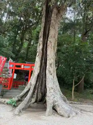 鶏石神社 (香椎宮境内摂社)(福岡県)