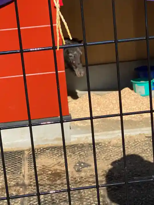 神田神社(神田明神)の動物