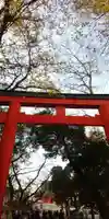 花園神社の鳥居