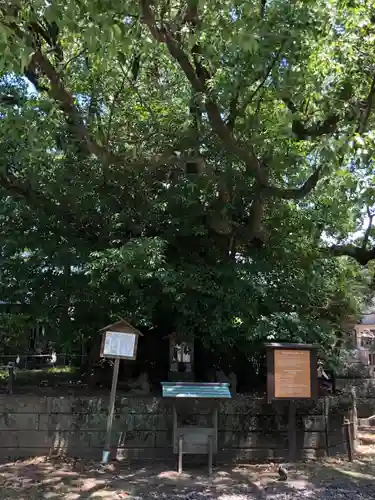 闘鶏神社(和歌山県)