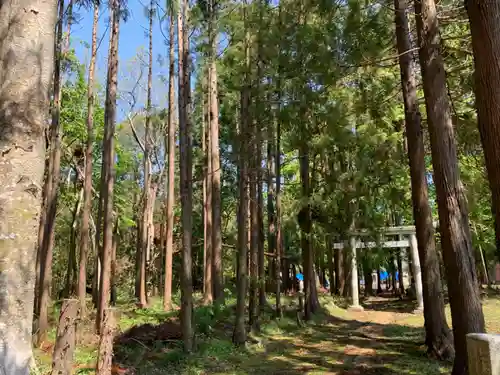 妙見神社の鳥居