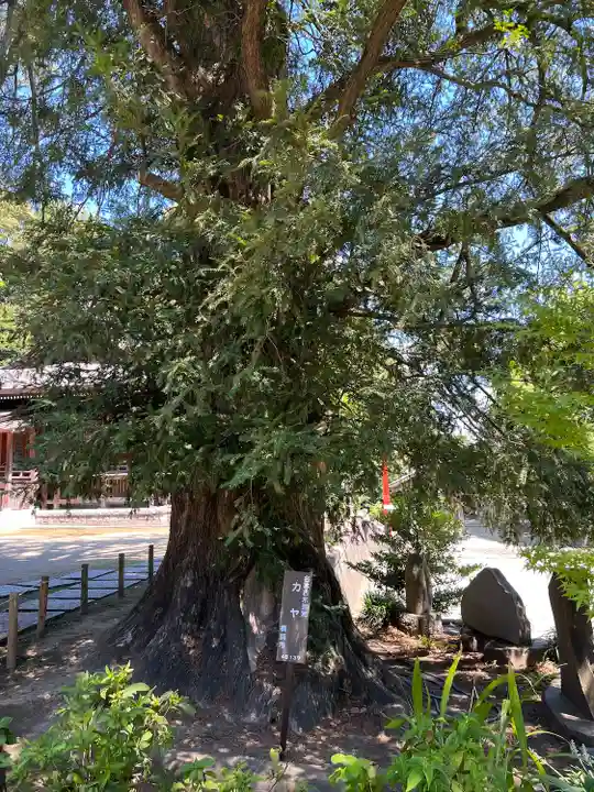 瀬戸神社(神奈川県)