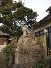 高砂天祖神社の狛犬