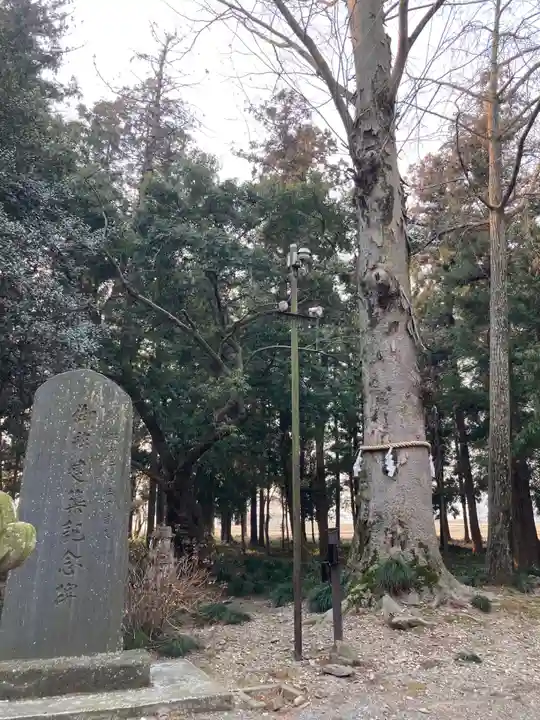春日神社(栃木県)