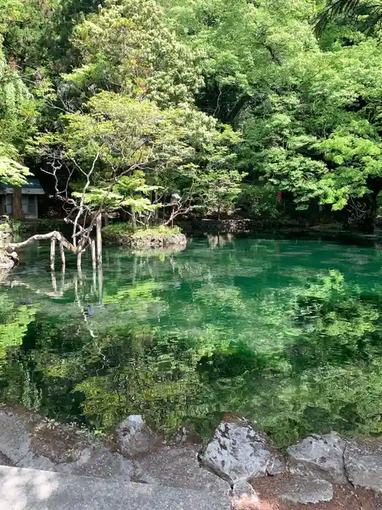涌釜神社(栃木県)