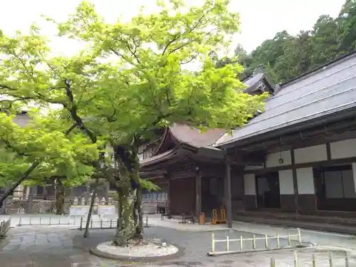 龍泉院(和歌山県)