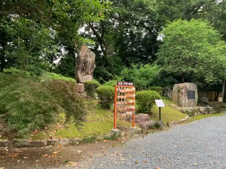 井伊谷宮の絵馬