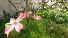 尾張猿田彦神社の自然