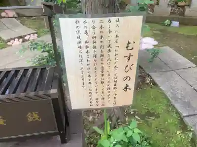 くまくま神社(導きの社 熊野町熊野神社)(東京都)