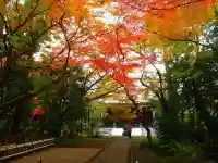 大正寺のその他建物