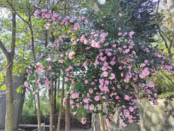 二本松神社(福島県)