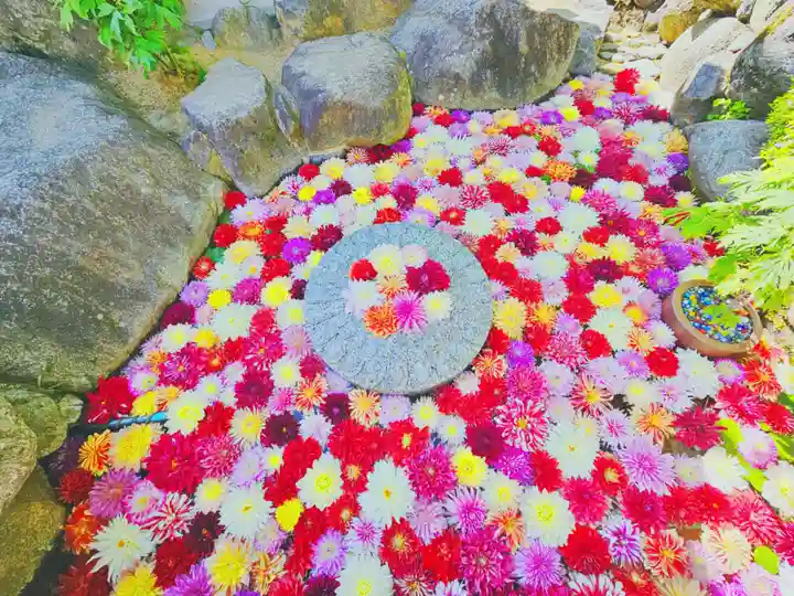 岡寺(龍蓋寺)(奈良県)