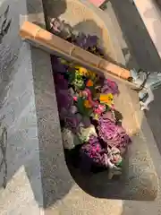 岩屋神社の手水