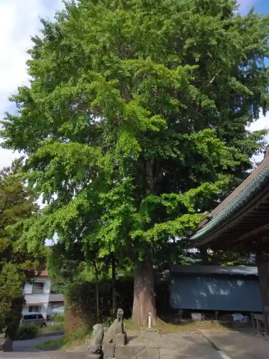 杉山神社(葉山・上山口)(神奈川県)