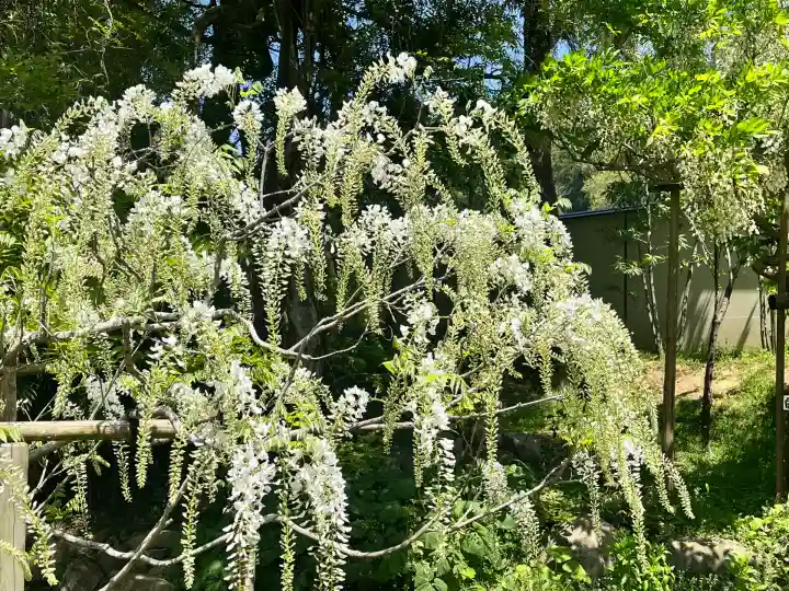 歌泉堂(春日大社神苑萬葉植物園内鎮座)(奈良県)