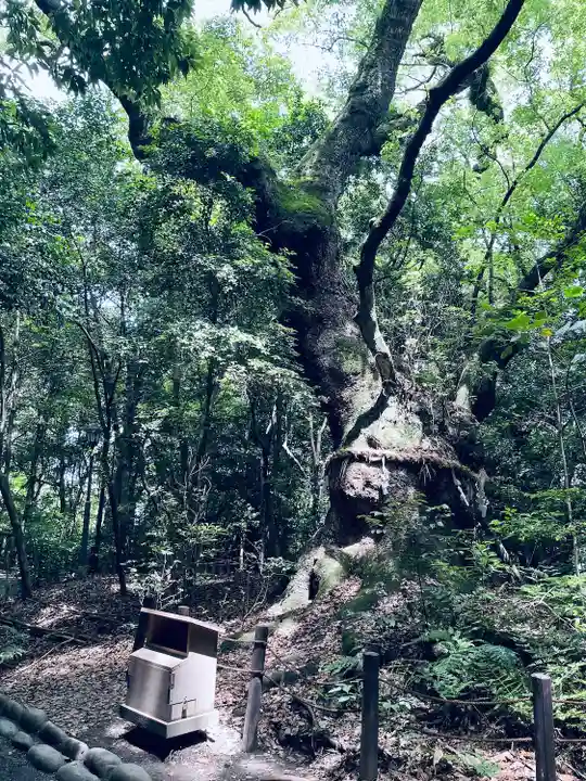 熱田神宮(愛知県)