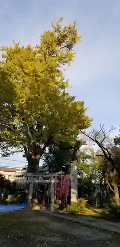 半田稲荷神社(東京都)