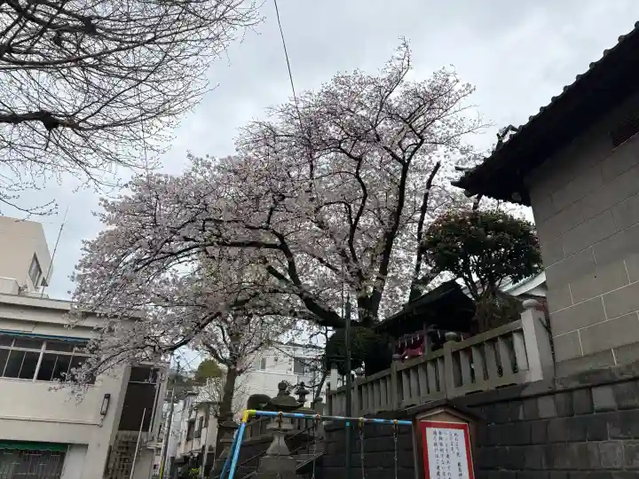 元町厳島神社の{uncategorized: "未分類", other: "その他", undefined: "問題あり", building: "その他建物", grave: "お墓", sacred_gate: "鳥居", guardian: "狛犬", statue: "像", buddha: "仏像", history: "歴史", nature: "自然", garden: "庭園", animal: "動物", pagoda: "塔", temizu: "手水舎", mountain_gate: "山門・神門", sanctuary: "本殿・本堂", subordinate: "末社・摂社", art: "芸術", scenery: "景色", jizo: "地蔵", ema: "絵馬", goshuin: "御朱印", omikuji: "おみくじ", items: "授与品その他", amulet: "お守り", goshuincho: "御朱印帳", eats: "食事", festival: "お祭り", votive_dance: "神楽", shichigosan: "七五三参", wedding: "結婚式", experience: "体験その他", initially: "初詣", around: "周辺", anti_infection: "感染症対策"}
