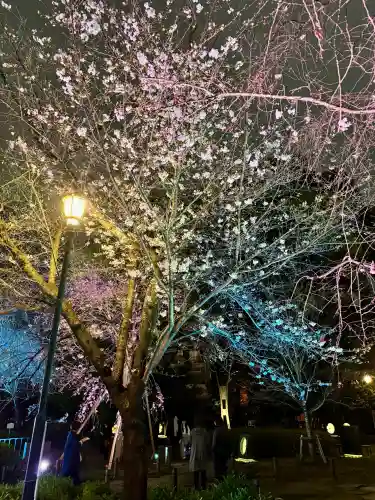 靖國神社の{uncategorized: "未分類", other: "その他", undefined: "問題あり", building: "その他建物", grave: "お墓", sacred_gate: "鳥居", guardian: "狛犬", statue: "像", buddha: "仏像", history: "歴史", nature: "自然", garden: "庭園", animal: "動物", pagoda: "塔", temizu: "手水舎", mountain_gate: "山門・神門", sanctuary: "本殿・本堂", subordinate: "末社・摂社", art: "芸術", scenery: "景色", jizo: "地蔵", ema: "絵馬", goshuin: "御朱印", omikuji: "おみくじ", items: "授与品その他", amulet: "お守り", goshuincho: "御朱印帳", eats: "食事", festival: "お祭り", votive_dance: "神楽", shichigosan: "七五三参", wedding: "結婚式", experience: "体験その他", initially: "初詣", around: "周辺", anti_infection: "感染症対策"}
