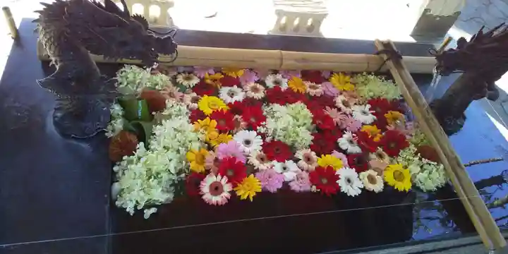 美幌神社の手水舎