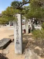 善楽寺の自然