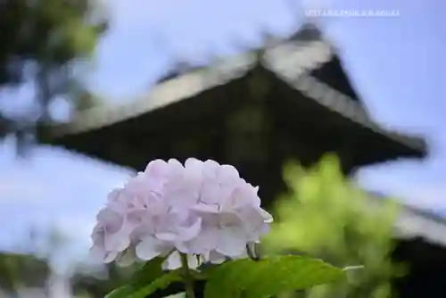 白山神社(東京都)