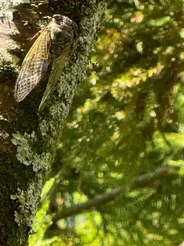 伊勢の国 四天王寺(三重県)