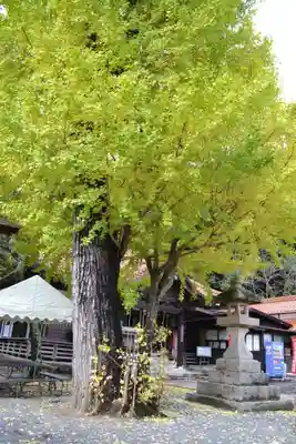 広福寺(山口県)