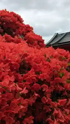 長岡天満宮(京都府)