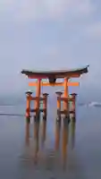 厳島神社の鳥居