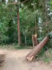 熊野神社の周辺