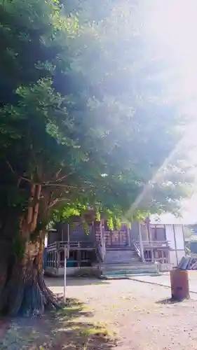 八幡神社の本殿・本堂