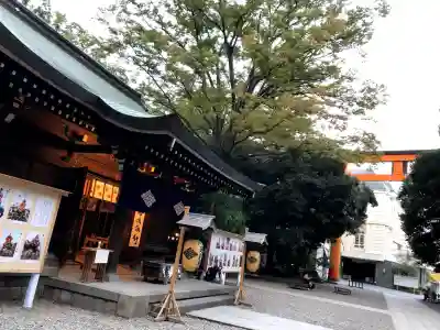 川越氷川神社(埼玉県)