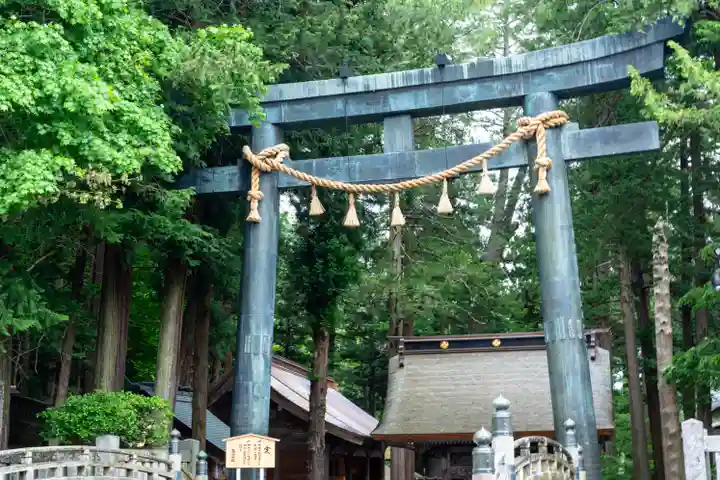 諏訪大社(長野県)