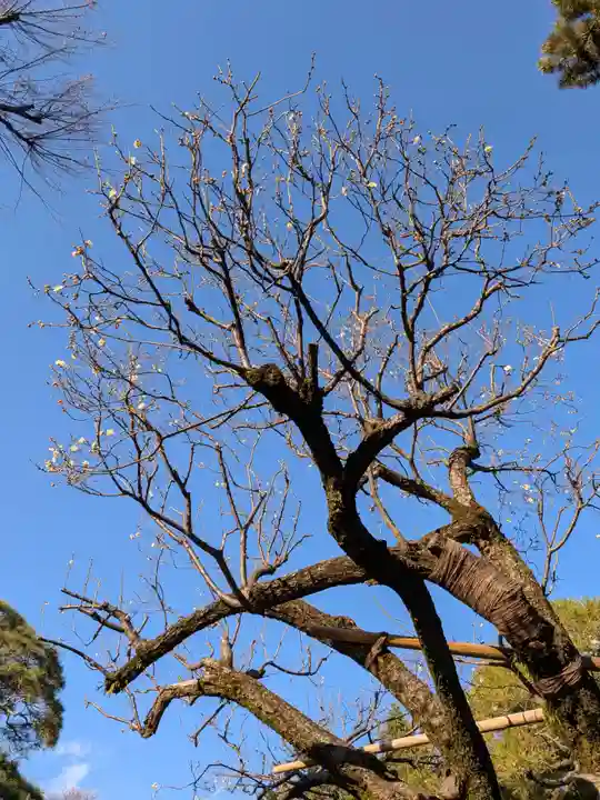 東長谷寺 薬王院(東京都)