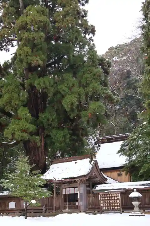 若狭姫神社(若狭彦神社下社)(福井県)