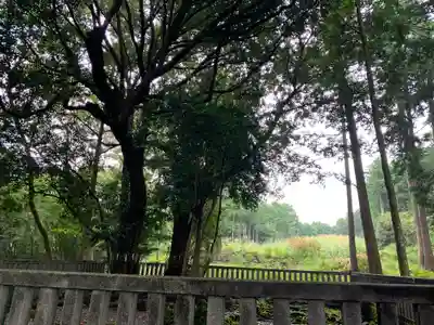 山宮浅間神社のその他建物