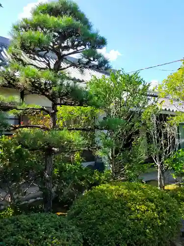 潮音寺(大阪府)