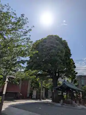 麻布氷川神社(東京都)