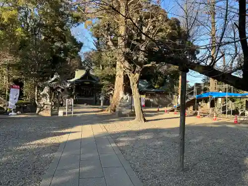 岩槻久伊豆神社(埼玉県)