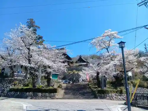 関善光寺の庭園