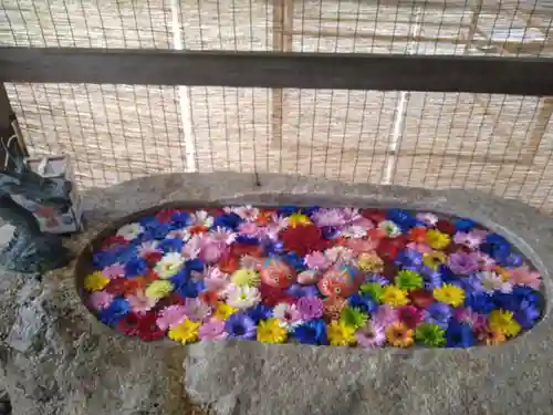 金井神社の手水舎